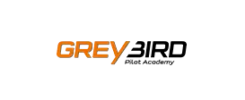 Grey Bird